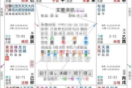 紫微斗数之命例推演：例二　命盘见后