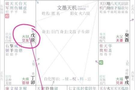 紫薇斗数财帛星