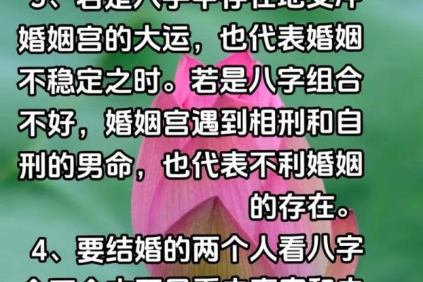 看八字算婚姻
