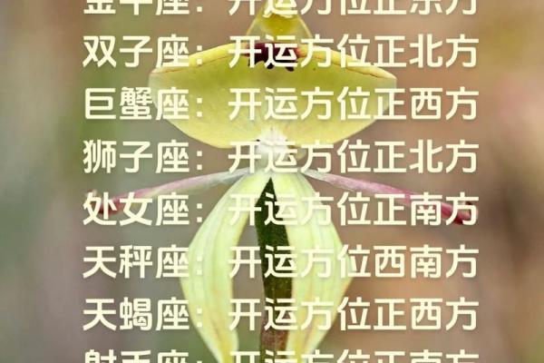 哪个星座是势利眼的