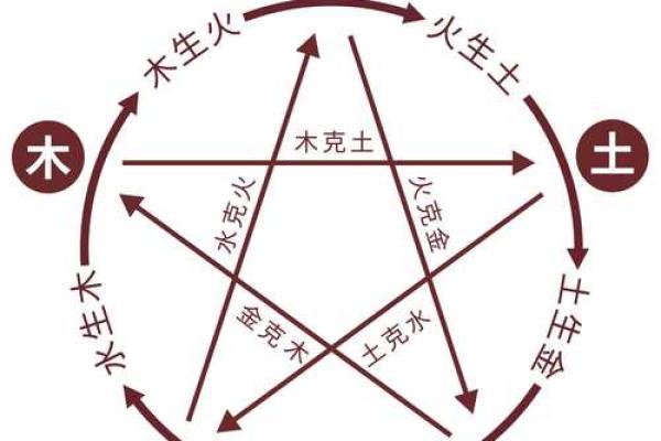 紫薇斗数入门梅花