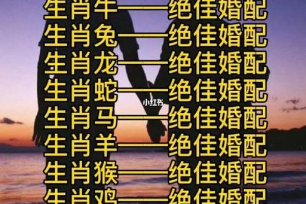 生肖名字配对姻缘 生肖取名字大全？