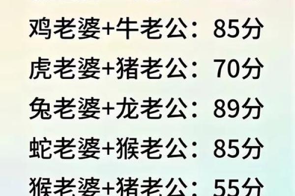 鼠狗生肖配对姻缘合适吗 鼠狗婚配的婚姻如何？