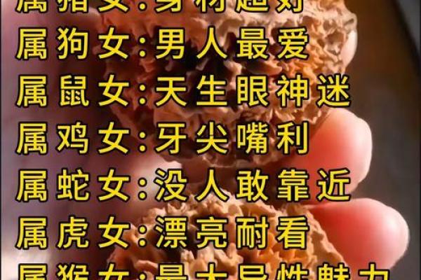 盘点十二生肖中天生爱犯贱的生肖排行