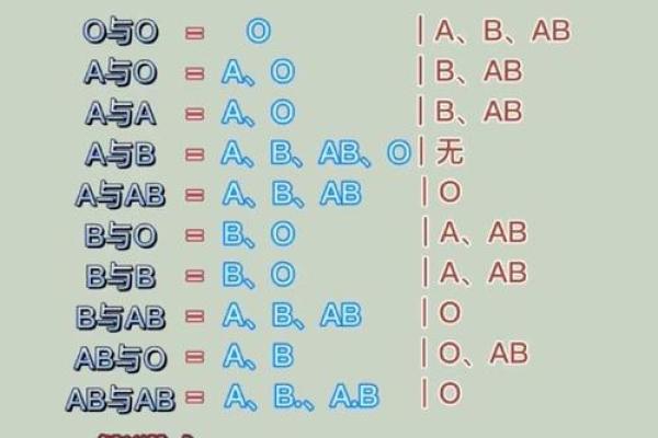 属鼠的血型和性格命运