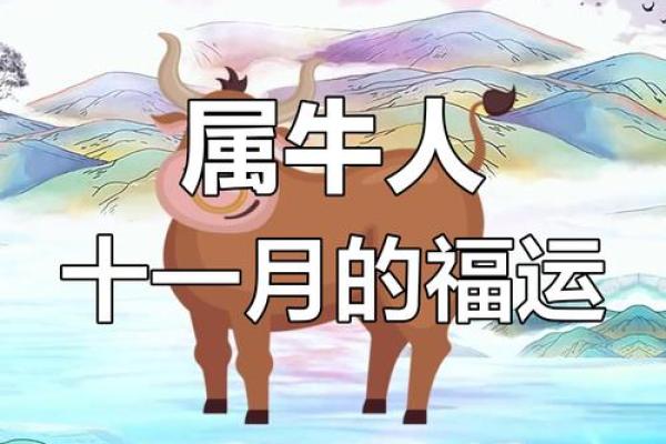 属牛是哪一年出生的 属牛的男孩出生吉日