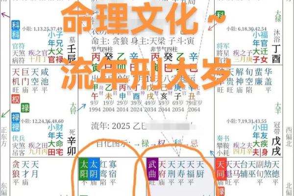刘嘉玲命理紫薇斗数