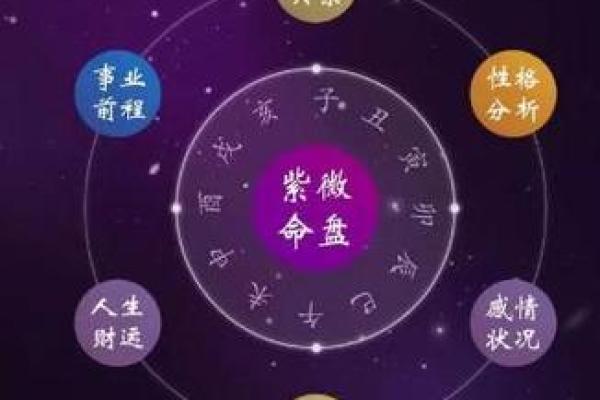 紫薇斗数88