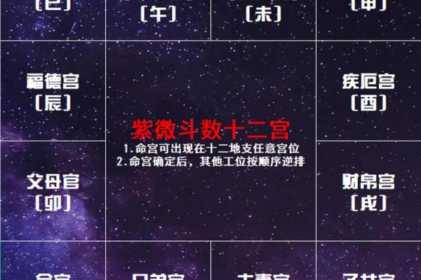 紫微斗数之：十二宫位