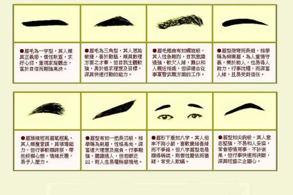 风水面相哪三种眉毛男人最好命