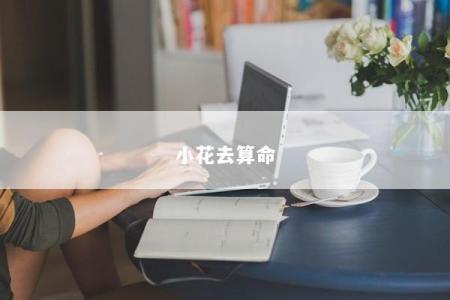 小花去算命