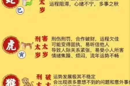 飞星紫微斗数用太岁入卦 紫微斗数太岁指什么？