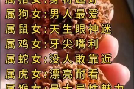 盘点十二生肖中天生爱犯贱的生肖排行