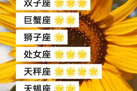 什么星座适合做股票人