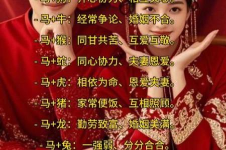 生肖马的姻缘配对，哪些生肖最合适？