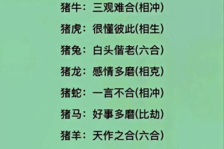 12生肖配对姻缘猪与虎 十二生肖猪和虎合不合？