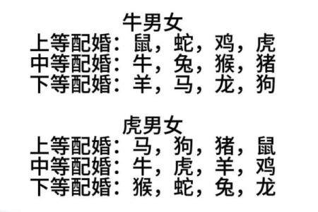 终于有人把“十二生肖夫妻配对表”，整理出了，看看吧，仅供参考