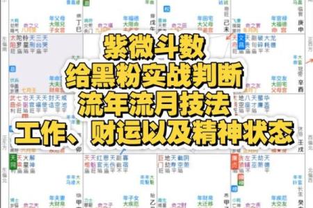 紫微斗数司法 紫微斗数怎么看官司？