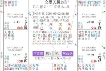 紫微斗数诸星落诸宫之：太阳星官禄宫详解