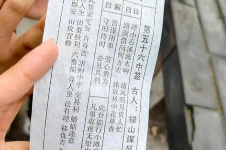 圣地圣母灵签解签大全