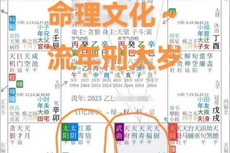 刘嘉玲命理紫薇斗数