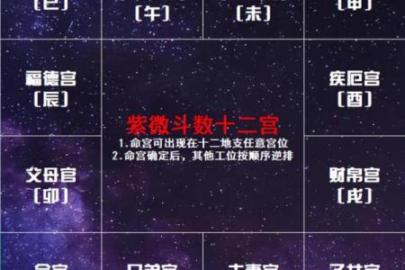 紫微斗数之：十二宫位