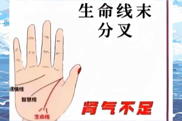 手相算命：生命线断开图解