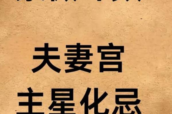 赵匡胤紫薇斗数