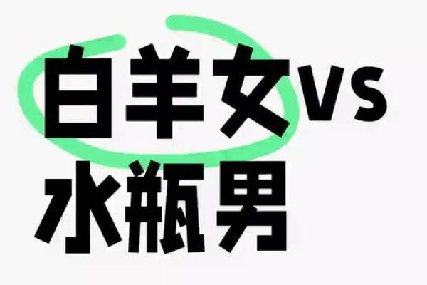 白羊水瓶配对指数 白羊水瓶合适在一起吗
