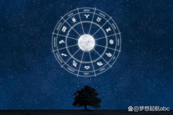 一人一生一次占星，用星盘看透你的未来