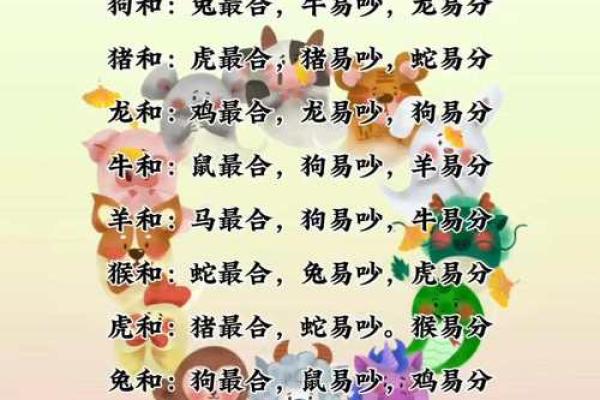 属相配对女性姻缘查询 属相婚姻配对十二生肖配对？