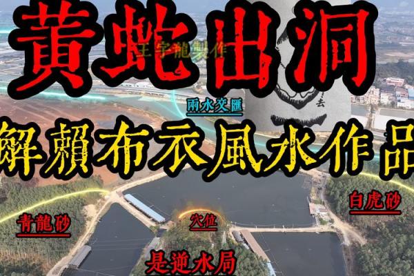 阴宅风水教程如何选择风水宝地