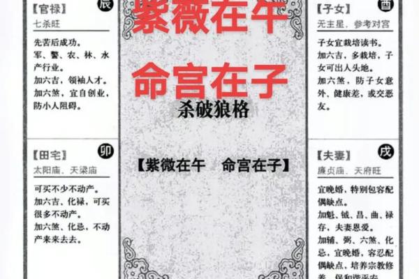 紫薇斗数命宫怎么看