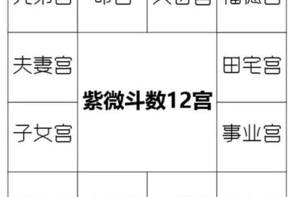 紫薇斗数命之夫
