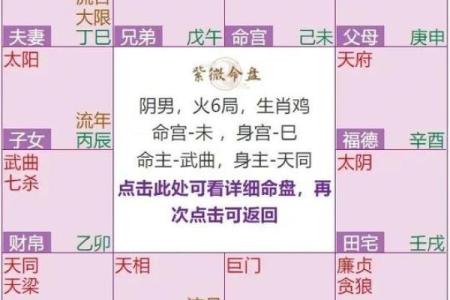 紫微斗数之兄弟宫在寅宫，是什么意思？