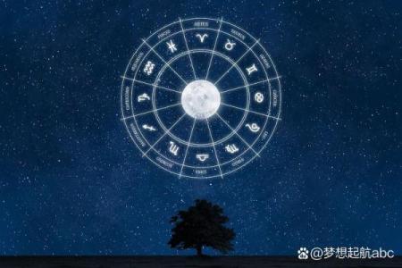 一人一生一次占星，用星盘看透你的未来