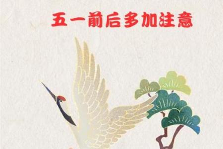 属猪人必知的方位禁忌