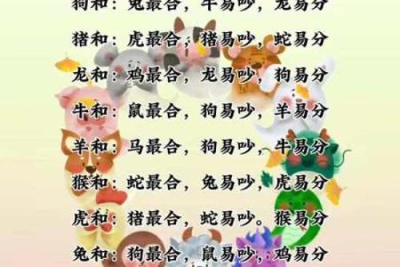 属相配对女性姻缘查询 属相婚姻配对十二生肖配对？