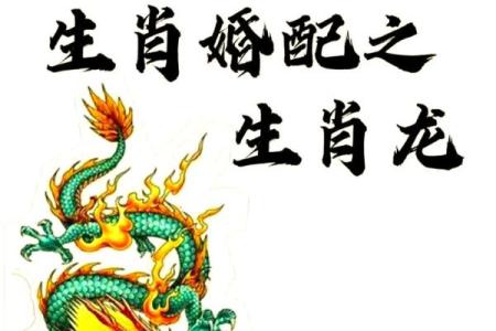 属龙的女人和什么属相最配对 属龙的女人和什么属相最配婚姻