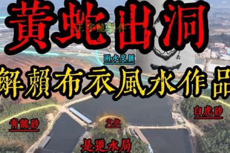 阴宅风水教程如何选择风水宝地
