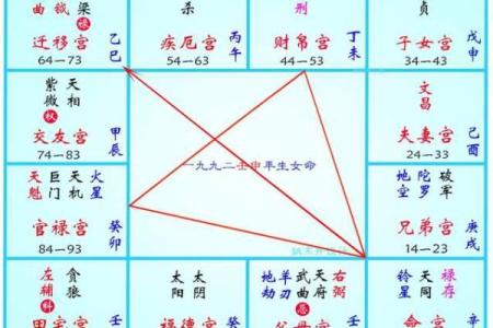 紫薇斗数武贪格