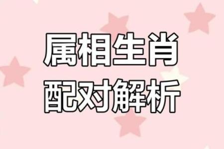羊和什么属相配对幸福