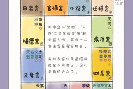 紫薇斗数怎么看宫吉凶