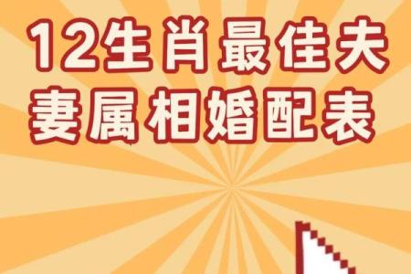 属相婚配表配对查询