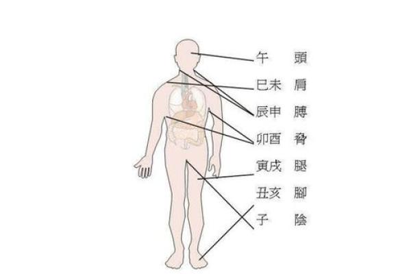 八字与身体