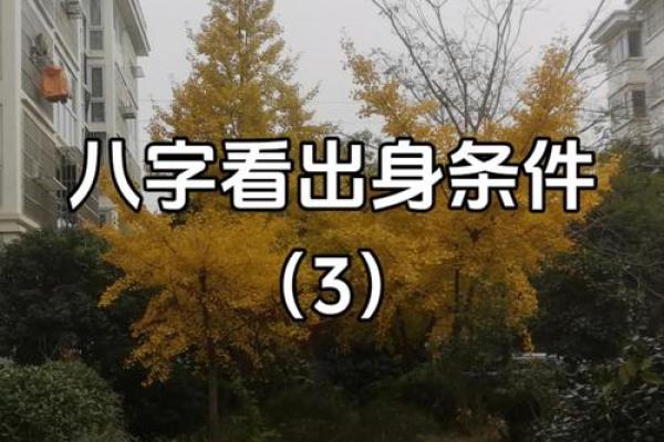 八字月印