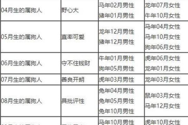 狗的属相配对婚配表