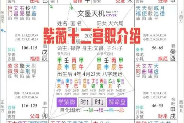 紫薇斗数哪个版本好看