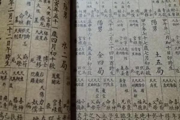 姓名紫薇斗数