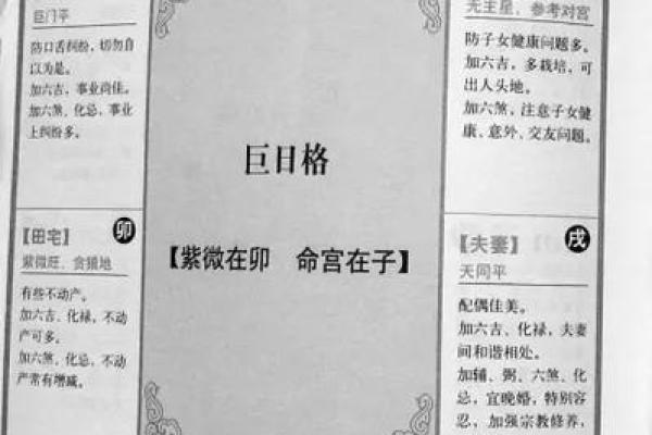 姓名紫薇斗数